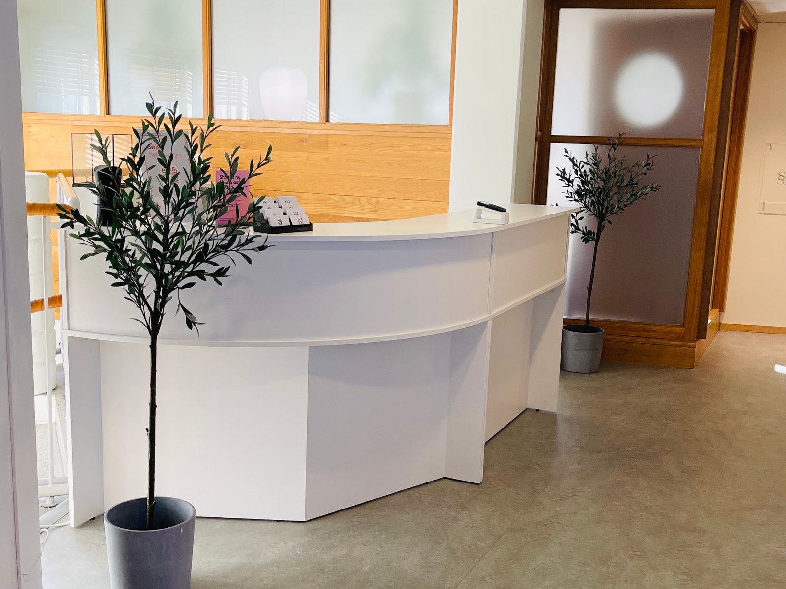 Mottagningens reception med vit, böjd disk, olivträd och varma trädetaljer